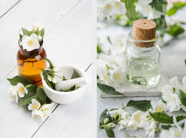 Jasmine - Essential Diffuser Oils