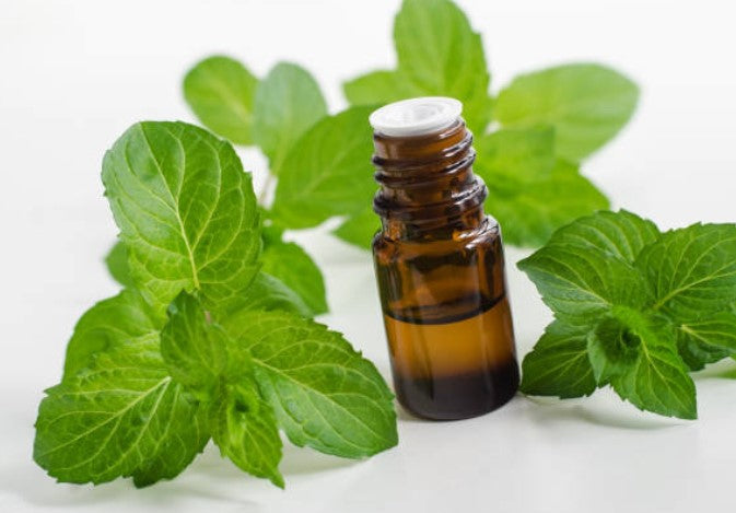 Peppermint - Essential Diffuser Oils