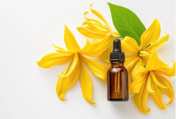 Ylang Ylang - Essential Diffuser Oils