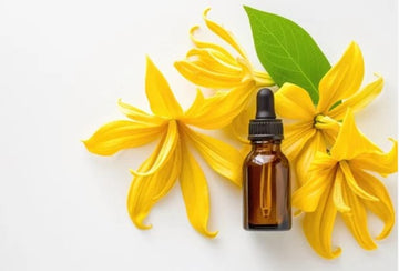 Ylang Ylang - Essential Diffuser Oils